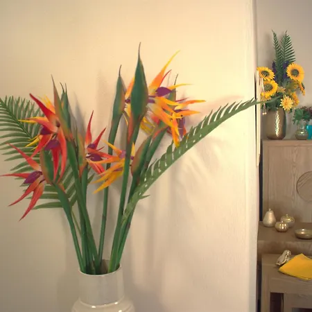 Verde Home Néa Meságkala