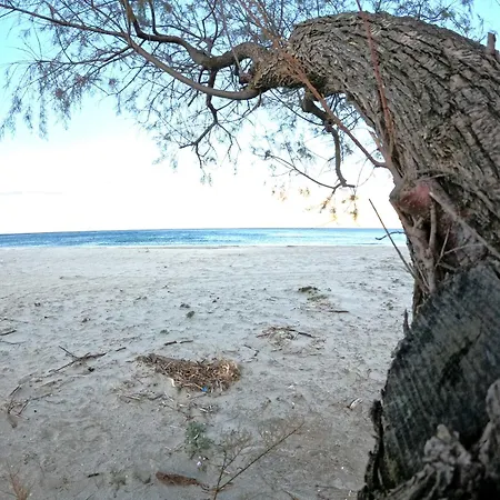 Verde Home Casa vacanze *