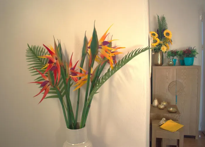 Verde Home Néa Meságkala