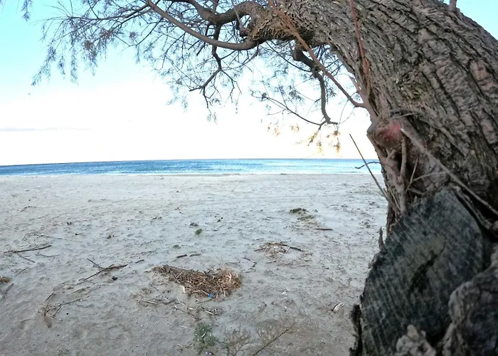 Verde Home Case de vacanță *